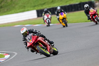 enduro-digital-images;event-digital-images;eventdigitalimages;mallory-park;mallory-park-photographs;mallory-park-trackday;mallory-park-trackday-photographs;no-limits-trackdays;peter-wileman-photography;racing-digital-images;trackday-digital-images;trackday-photos
